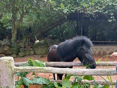 -海南热带野生动植物园