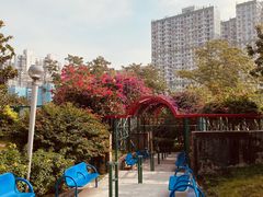 -纪念孙中山市政公园