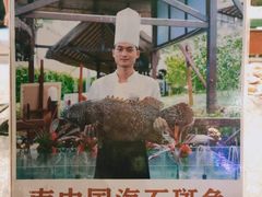 -渔家火锅·海鲜自助餐·演艺(亚龙湾天域酒店)