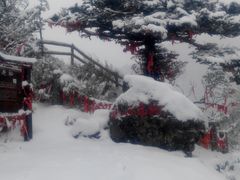 -牛背梁国家森林公园