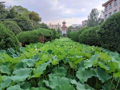 -四川大学(华西校区)