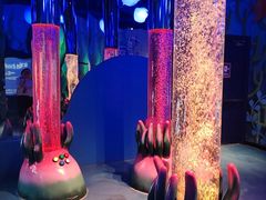 -沈阳海洋探索中心