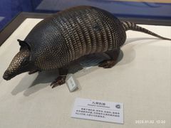 -国家自然博物馆