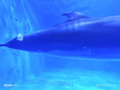 -多彩贵州城极地海洋世界