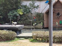 -宁波野生动物园