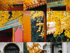 -故宫博物院(故宫)