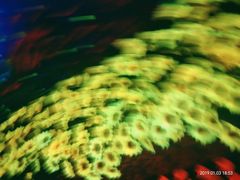 -梵高星空艺术馆(万达旗舰店)