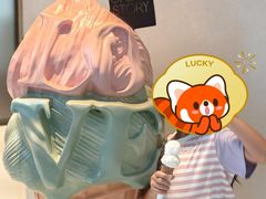 -CREAM STORY意大利手工冰淇淋&甜品(万象前海店)