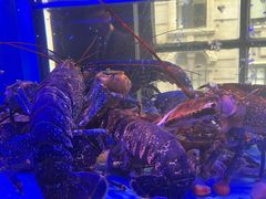 -皇朝会.经典传统粤菜(外滩店)