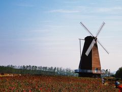 -漩门湾国家湿地公园