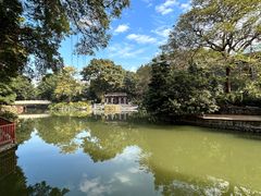 -荔湾湖公园