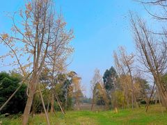 -白鹭湾湿地公园