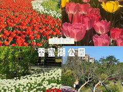 -香蜜公园