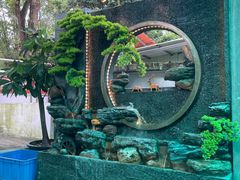 -洞背山庄(洞背院区式管理小区店)