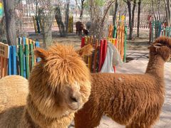 -水上乐园·欢乐世界