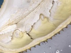 -叶氏兄弟果业(浒山路5店)