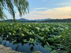 -印象西湖·最忆是杭州实景演出