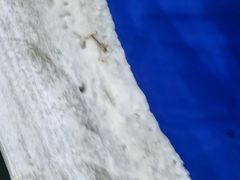 -乔波室内滑雪场