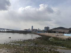 -黑石礁公园