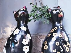 -猫咪博物馆(顶澳仔猫街店)