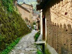 -杨家堂村