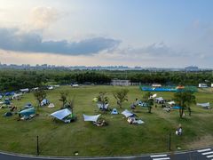 -春花秋色城市公园