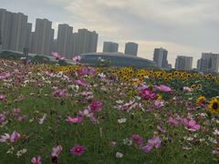 -武汉理工大学（南湖新校区）-图书馆