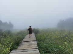 -白草畔自然风景区