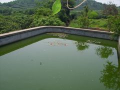 -亮河湾山庄