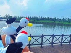 -盐城丹顶鹤湿地生态旅游区