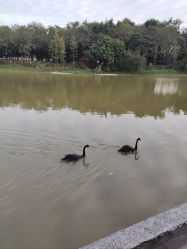 -广州市儿童公园