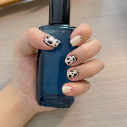 -七岛美学