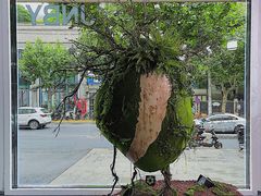 -精绝七日-新疆尼雅遗址数字大展【拉法耶文化艺术中心】