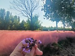 -汉长安城未央宫国家考古遗址公园