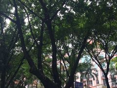 -南京医科大学(江宁校区)