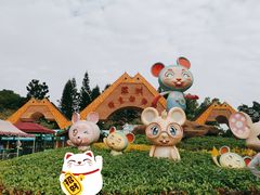 -深圳野生动物园
