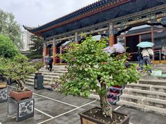 -西宁市东关清真大寺