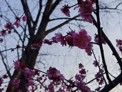 -湖州太湖旅游度假区-月亮广场