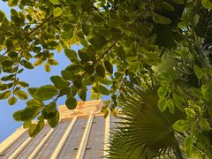 -厦门途易蓝罗约海景温泉酒店(园博苑地铁站店)