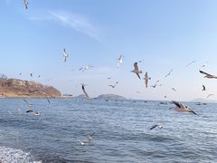 -银沙滩浴场