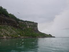 -尼亚加拉瀑布州立公园
