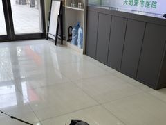 -天宠宠物医院24小时·急重症诊疗中心·全科·腔镜特色(和平分院)