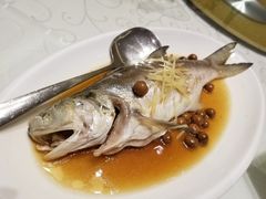 -光头匠