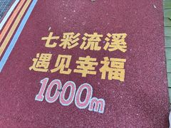 -广州市流溪河国家森林公园