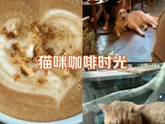 -咖法森林·咖啡  酒吧(天河店)