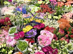 -双季花艺园艺市场(浦东店)