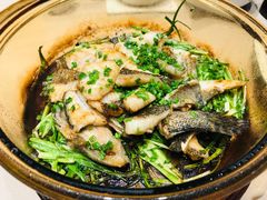 -尚一汤·粤菜海鲜(环球港店)