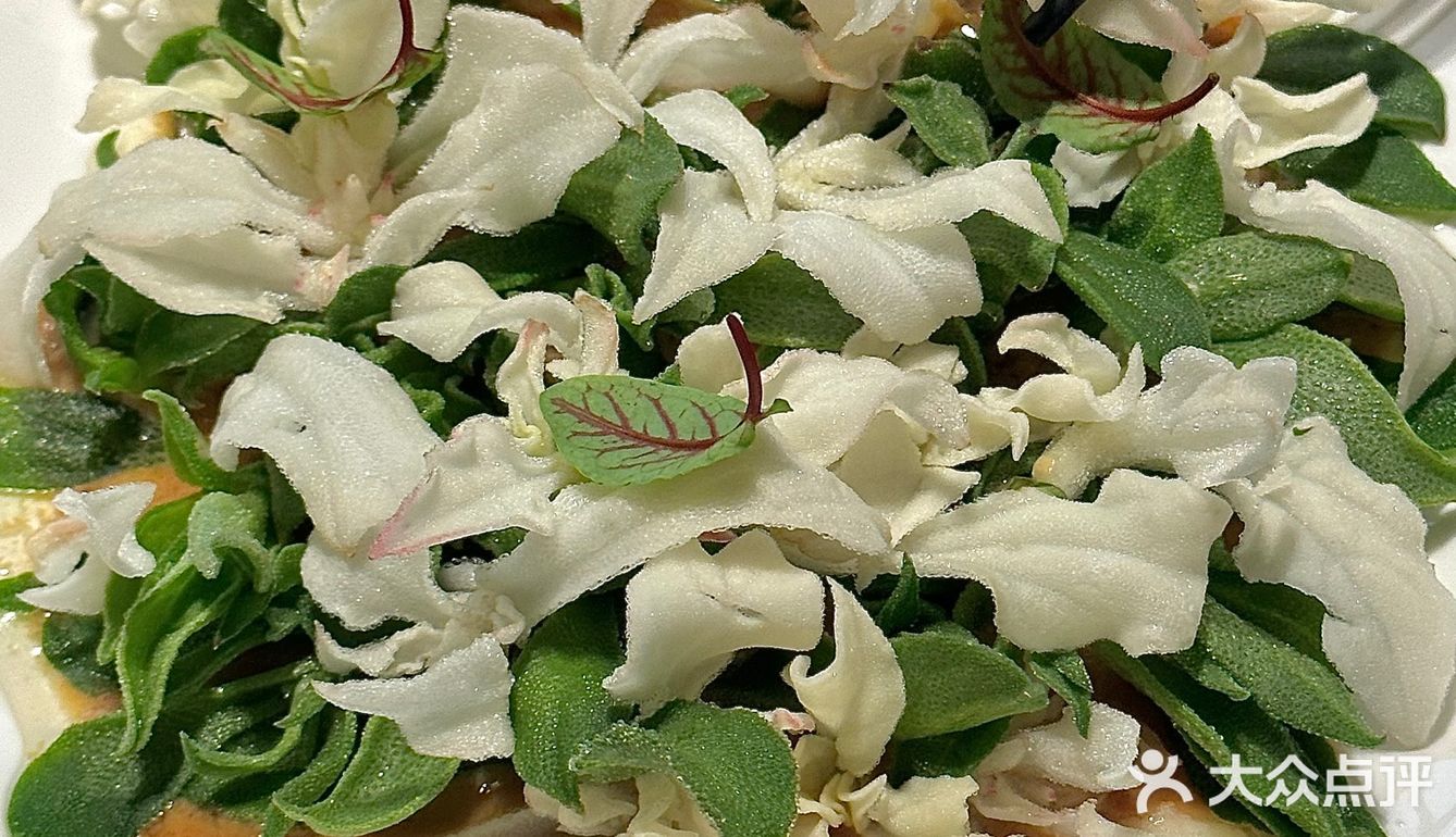 在上海请朋友吃饭最成功的一次。。。