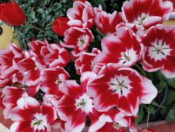 -熙画美上门MakeUp美甲美睫