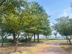 -幕燕滨江·长江观音景区